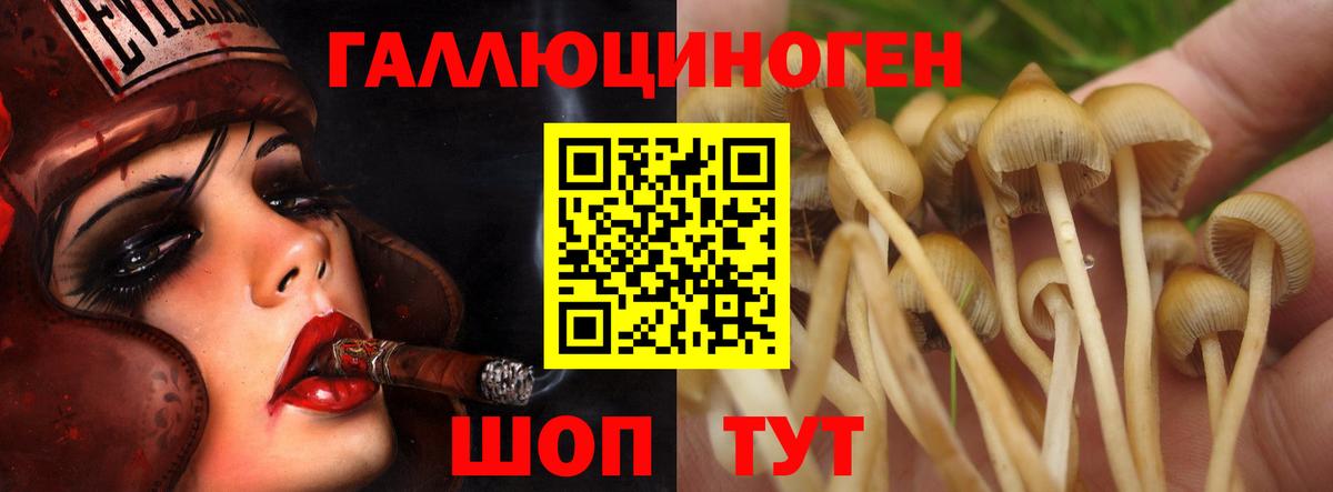 Псилоцибиновые грибы мухоморы Кувандык