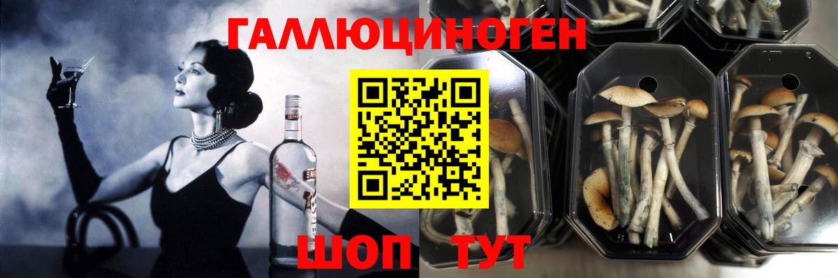 Псилоцибиновые грибы ЛСД  Вход с VPN  Кувандык 